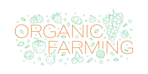 hand drawn fruit, nut symbols and organic farming word. doodle fruit, nut symbols and organic farming. organic farming concept