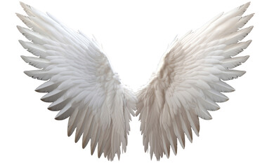 White angel wing on isolated transparent background, PNG file - obrazy, fototapety, plakaty
