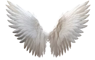 Fotobehang White angel wing on isolated transparent background, PNG file © Sasint