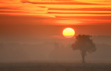 Colorful sunrise over the field