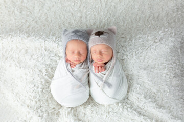 twins in identical hats, newborn boys, twins. newborn photo session. children brothers on white background