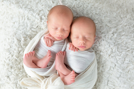 twins, newborn boys, twins. newborn photo session. children brothers on white background