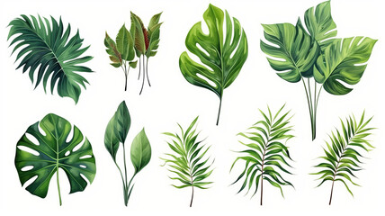 set of Exotic plants, palm leaves, monstera, watercolor vector illustration - obrazy, fototapety, plakaty