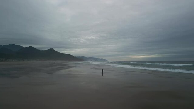 Wide Aerial shot of Haystack Rock beach in coastal town Cannon Beach, Oregon. Wide footage on cloudy day
