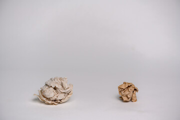 Crumpled paper isolated on white background.Paper crumpled into a ball.Paper waste from bad idea.Recycling, ecology, business concept.