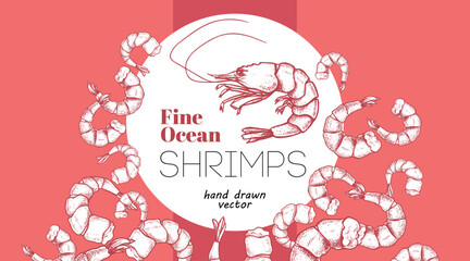 Seafood banner design template. Hand drawn fine ocean shrimps. Best for restaurant menu, seafood banners, flyers design. Vector illustration.