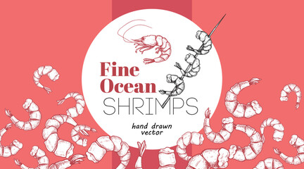 Seafood banner design template. Hand drawn fine ocean shrimps. Best for restaurant menu, seafood banners, flyers design. Vector illustration.
