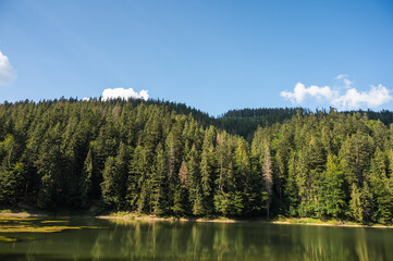 lake Synevyr in the Ukrainian mountains