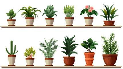 Transform your patio into an oasis with this perfect collection of potted plants, enhancing your space.