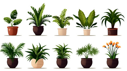A perfect collection of potted plants on a patio, creating a serene and inviting outdoor atmosphere.