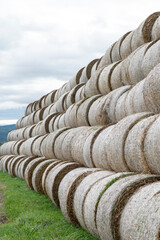Stack of hay balls, haystack or  haycock on an agricultural field. Large rolls of straw on a farm.