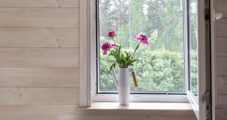 White window with mosquito net in rustic wooden house. Bouquet of pink peonies