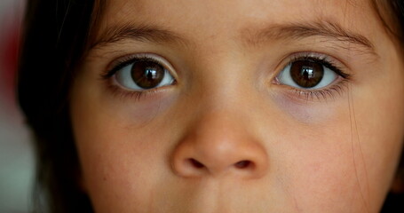 Little girls eyes staring camera. Close-up child eye