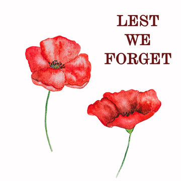 Lest we forget. Remembrance Day. Beautiful card with a watercolor drawing of poppies. Closeup. National holiday concept. Congratulations for family, relatives, loved ones, friends and colleagues