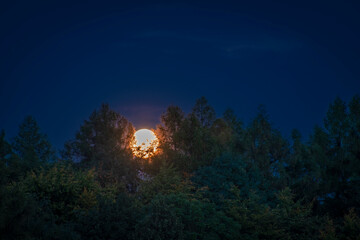 Fototapeta na wymiar Moonrise view near Nemci village in Ceske Stredohori mountains