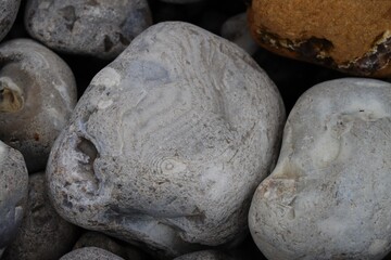 close up of a rock at alabaster coast