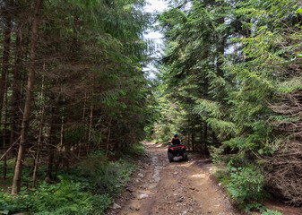 A man rides an ATV along a wet dirt road in large puddles in the middle of a mountain forest. Natural sports background, natural activity background.