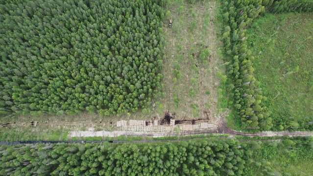 Aerial drone view of a forest logging site with an excavator working among harvested areas and standing trees. Summer forestry operations in a boreal forest.