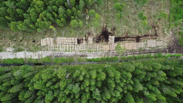 Aerial drone footage of a forest logging operation, showing an excavator working in a harvested area surrounded by dense coniferous woodland.