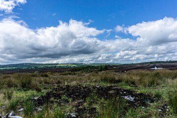 Bogland in Drinagh near Lough Ree in the Irish midlands.