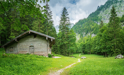 Lonely Hike through the Berchtesgaden green nature 