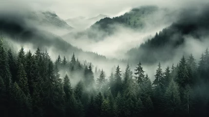 Fototapete Alpen fog over mountains,dark forest