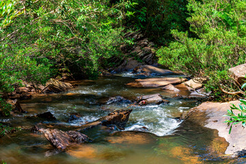 Small and peaceful river running through forest vegetation in Minas Gerais, Brazil