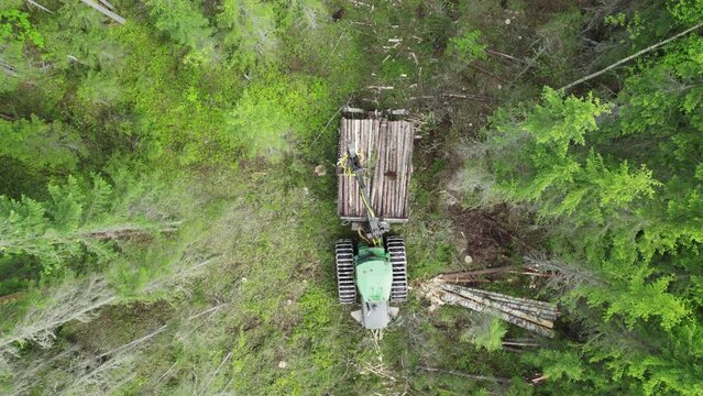Aerial view of a skidder collecting harvested logs in a forest