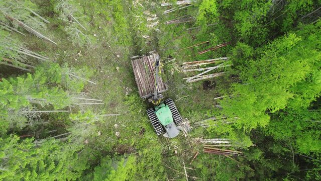 Aerial view of a skidder collecting harvested logs in a forest