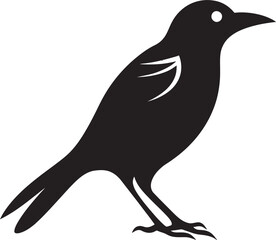 Puffin Precision Regal Peacock Logo