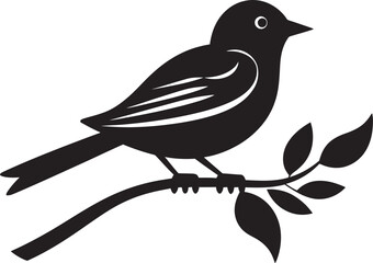 Night Owl Monogram Crow's Eye View