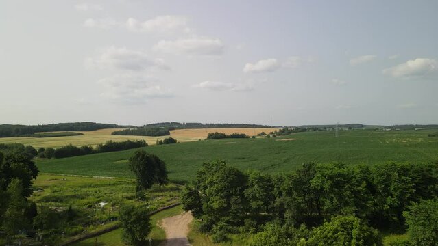 A view from a height on a rural summer landscape. Green fields and blue sky.