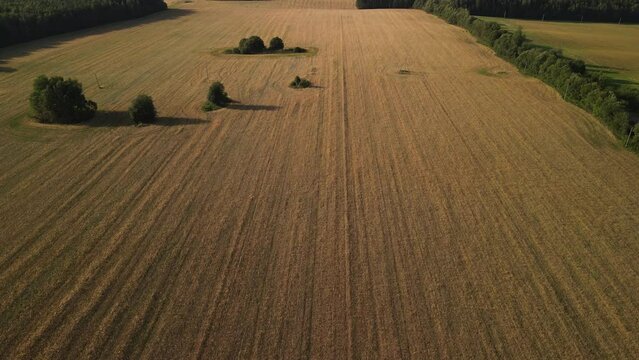 Landscape view from drone, yellow and green fields and haystacks