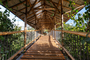 Wooden bridge in the José Celestino Mutis botanical garden. Bogota, Colombia. 
