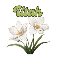 Utah State Flower sego lily with text, transparent png