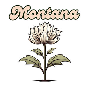Montana bitterroot State Flower with text, transparent png