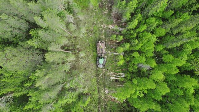 Aerial view of a skidder collecting harvested logs in a forest