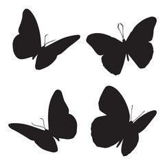 Butterfly Silhouette Vector Illustration