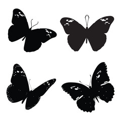 Butterfly Silhouette Vector Illustration