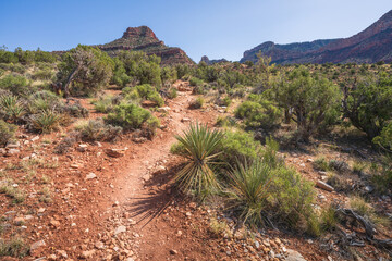hiking the grandview trail in the grand canyon national park, arizona, usa