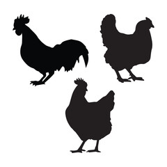 Set of  Chicken Vector Silhouette