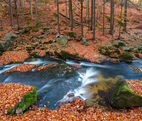 Mountain stream in autumn.