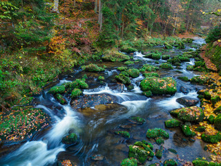 Mountain stream in autumn.