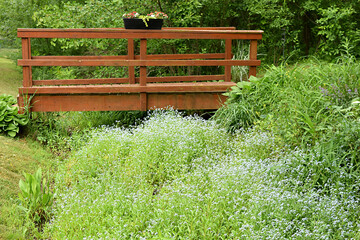 Wooden Garden Bridge Over Wildflower Field