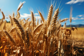 Obraz premium A field of golden wheat swaying in the breeze, symbolizing abundance and the harvest season. Concept of agricultural bounty. Generative Ai.