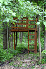 Wooden Treehouse Fort Hunting Tree Stand in Deep Green Forest