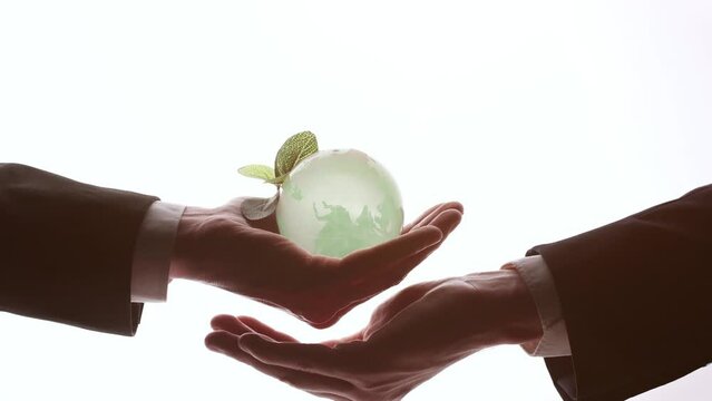 Human Hand Holding the World in Hands on white background