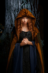 Elf princess from fantasy fairytale. Portrait of beautiful young woman in medieval style dress