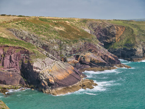 Coastal red cliffs near Solva in Pembrokeshire, Wales, UK - steeply inclined, tilted and folded rock strata of the Lingula Flags Formation - sandstone and mudstone.