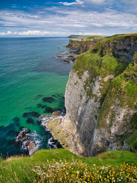 High coastal cliffs on the Antrim Coast, near Giant's Causeway, Northern Ireland. The ruins of Dunluce Castle appear in the background. Taken on a sunny day in summer.